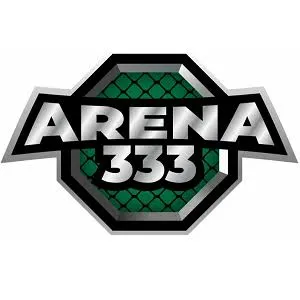 arena333 APK FPS